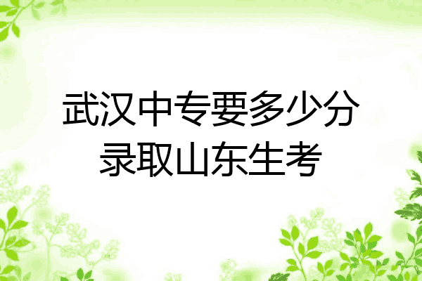 武汉中专要多少分录取山东生考