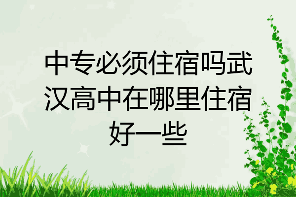 中专必须住宿吗武汉高中在哪里住宿好一些