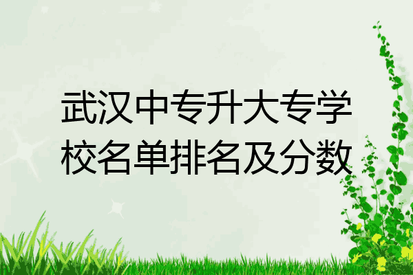 武汉中专升大专学校名单排名及分数