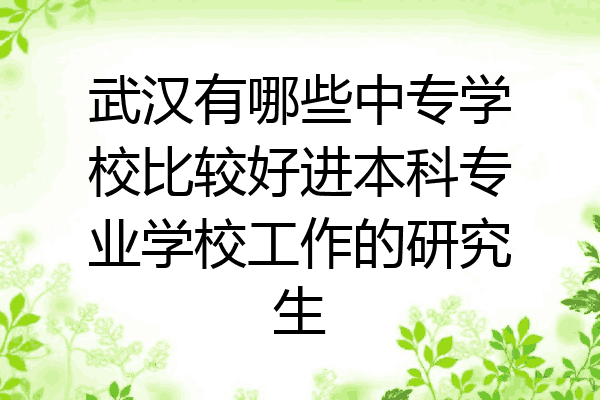 武汉有哪些中专学校比较好进本科专业学校工作的研究生
