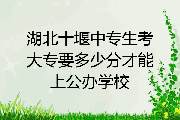 湖北十堰中专生考大专要多少分才能上公办学校
