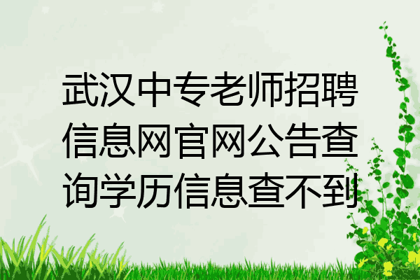 武汉中专老师招聘信息网官网公告查询学历信息查不到