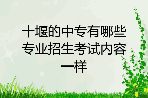 十堰的中专有哪些专业招生考试内容一样