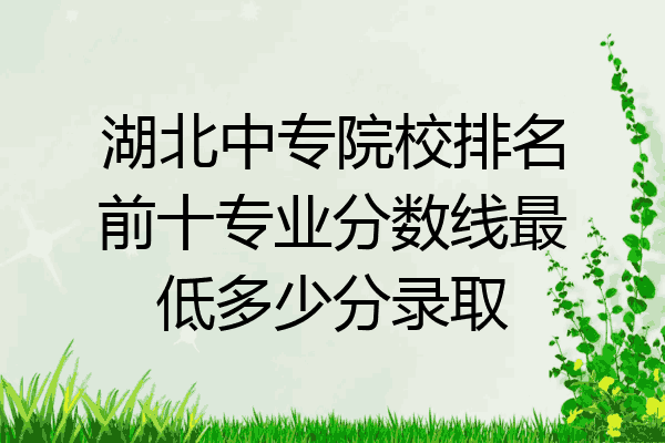 湖北中专院校排名前十专业分数线最低多少分录取