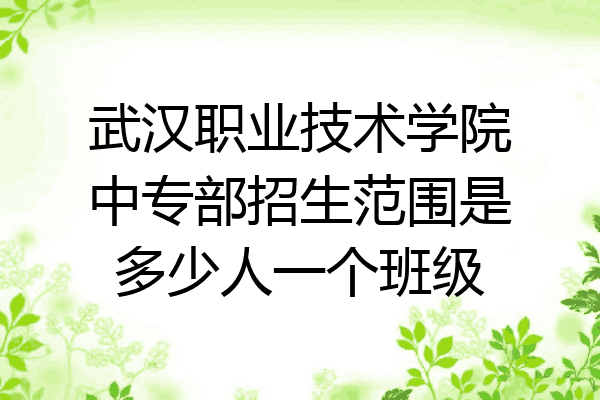 武汉职业技术学院中专部招生范围是多少人一个班级
