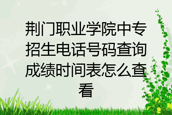 荆门职业学院中专招生电话号码查询成绩时间表怎么查看