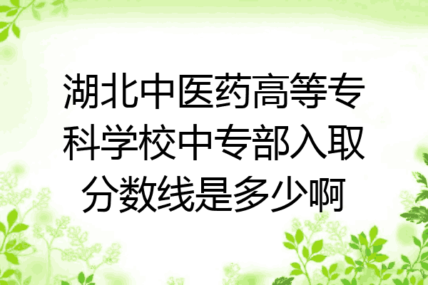 湖北中医药高等专科学校中专部入取分数线是多少啊