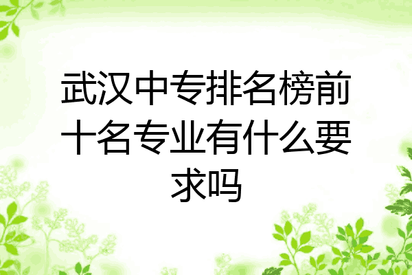 武汉中专排名榜前十名专业有什么要求吗