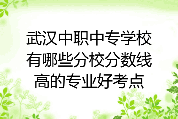 武汉中职中专学校有哪些分校分数线高的专业好考点