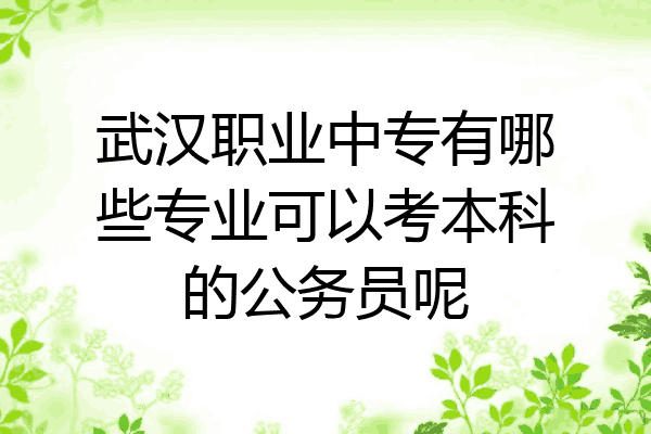 武汉职业中专有哪些专业可以考本科的公务员呢