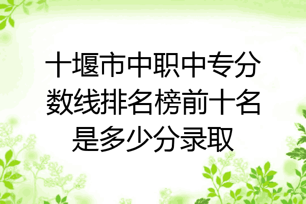十堰市中职中专分数线排名榜前十名是多少分录取