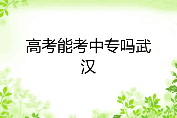 高考能考中专吗武汉
