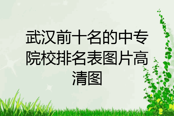 武汉前十名的中专院校排名表图片高清图