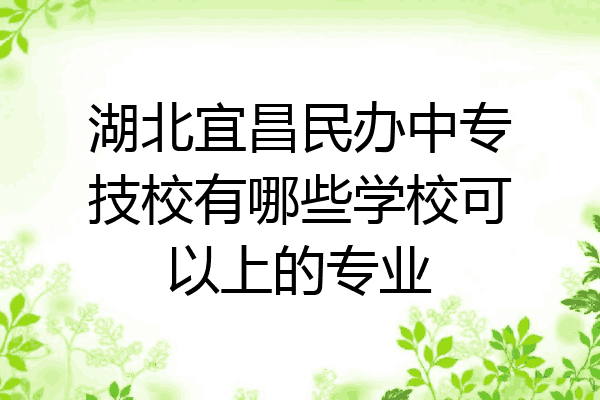 湖北宜昌民办中专技校有哪些学校可以上的专业