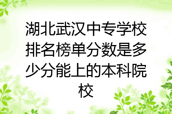 湖北武汉中专学校排名榜单分数是多少分能上的本科院校