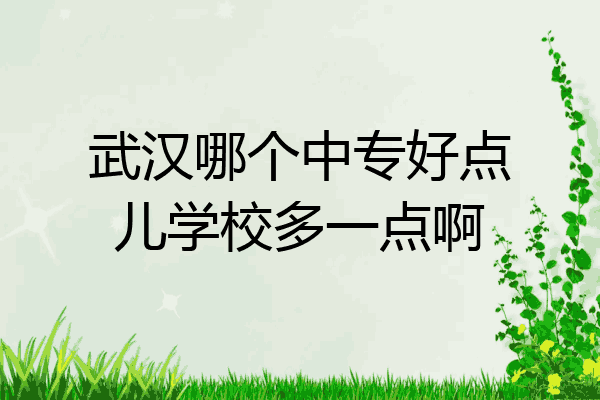 武汉哪个中专好点儿学校多一点啊