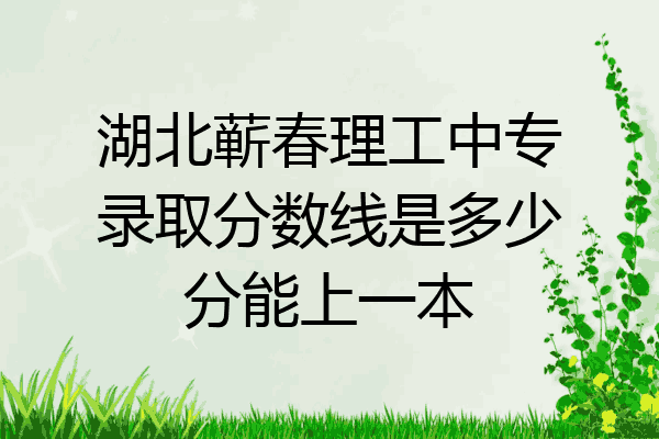 湖北蕲春理工中专录取分数线是多少分能上一本