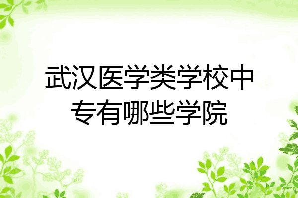 武汉医学类学校中专有哪些学院