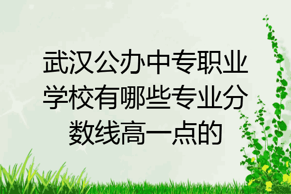 武汉公办中专职业学校有哪些专业分数线高一点的