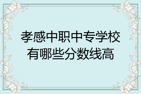 孝感中职中专学校有哪些分数线高