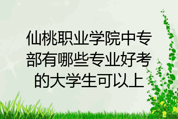 仙桃职业学院中专部有哪些专业好考的大学生可以上