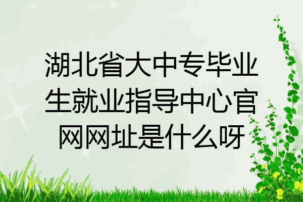 湖北省大中专毕业生就业指导中心官网网址是什么呀