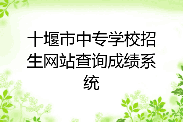 十堰市中专学校招生网站查询成绩系统