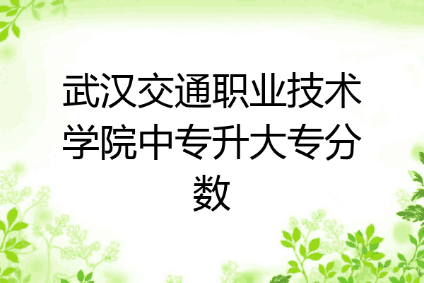 武汉交通职业技术学院中专升大专分数