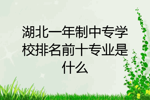 湖北一年制中专学校排名前十专业是什么