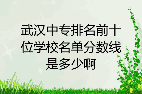 武汉中专排名前十位学校名单分数线是多少啊