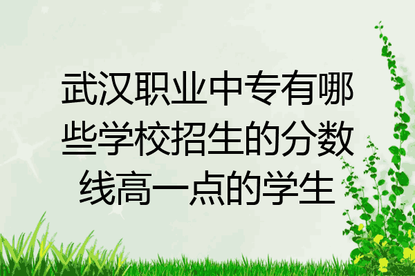 武汉职业中专有哪些学校招生的分数线高一点的学生