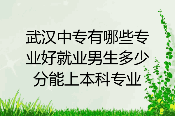 武汉中专有哪些专业好就业男生多少分能上本科专业