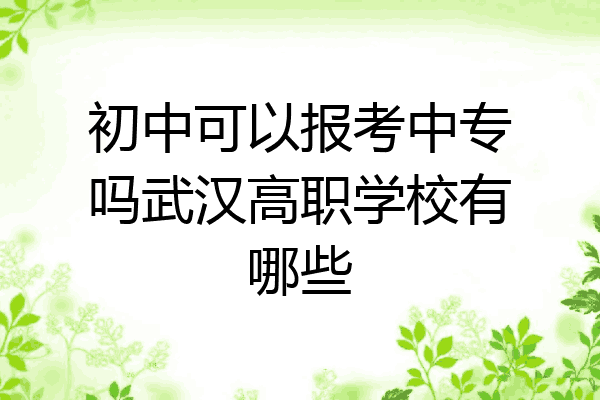 初中可以报考中专吗武汉高职学校有哪些
