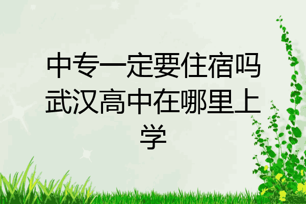 中专一定要住宿吗武汉高中在哪里上学