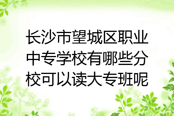 长沙市望城区职业中专学校有哪些分校可以读大专班呢