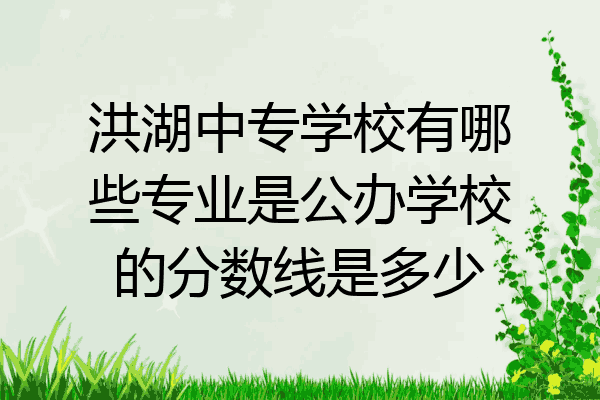 洪湖中专学校有哪些专业是公办学校的分数线是多少