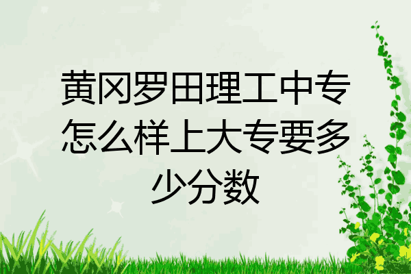 黄冈罗田理工中专怎么样上大专要多少分数