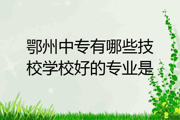 鄂州中专有哪些技校学校好的专业是