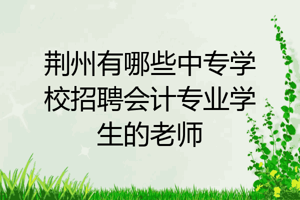荆州有哪些中专学校招聘会计专业学生的老师