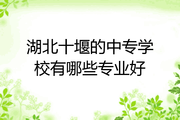 湖北十堰的中专学校有哪些专业好