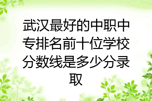 武汉最好的中职中专排名前十位学校分数线是多少分录取
