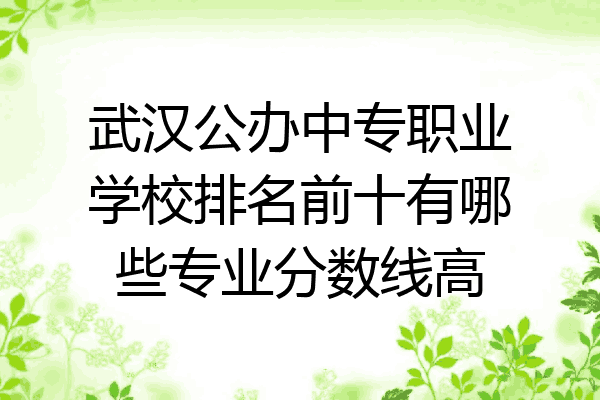 武汉公办中专职业学校排名前十有哪些专业分数线高