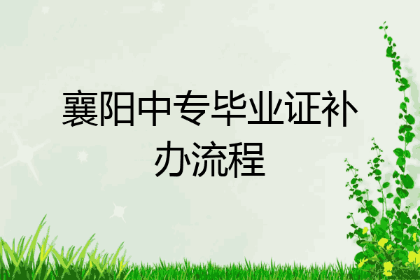 襄阳中专毕业证补办流程