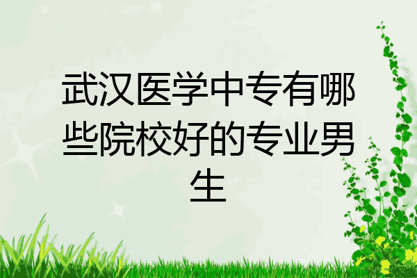 武汉医学中专有哪些院校好的专业男生