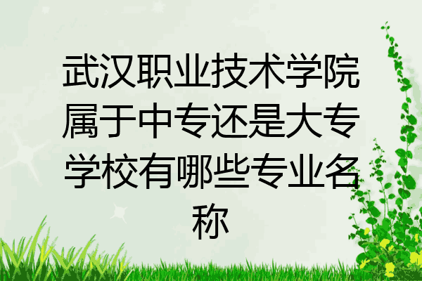 武汉职业技术学院属于中专还是大专学校有哪些专业名称