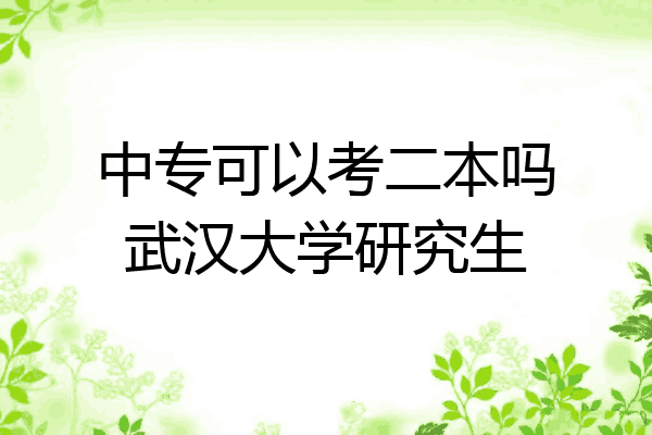 中专可以考二本吗武汉大学研究生
