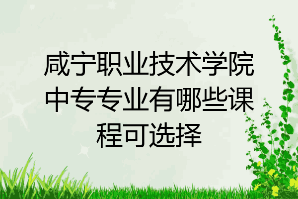 咸宁职业技术学院中专专业有哪些课程可选择
