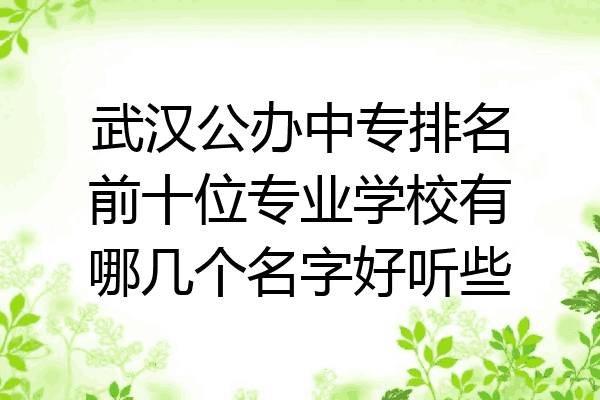 武汉公办中专排名前十位专业学校有哪几个名字好听些