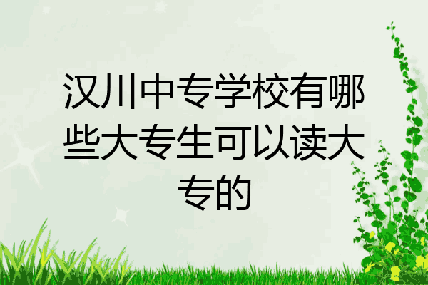 汉川中专学校有哪些大专生可以读大专的