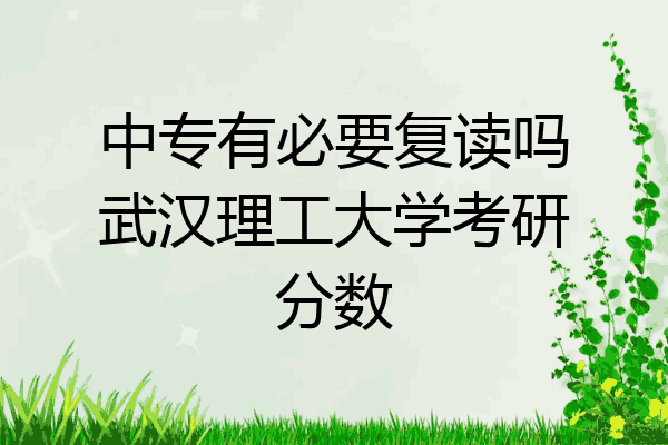 中专有必要复读吗武汉理工大学考研分数